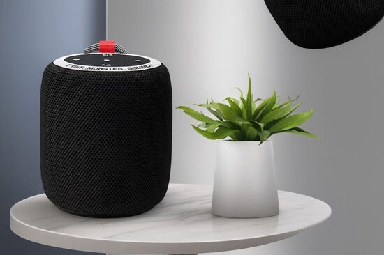 MONSTER S110 garso kolonėlė