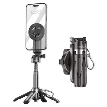 ASMENUKIŲ LAZDOS (monopodai)